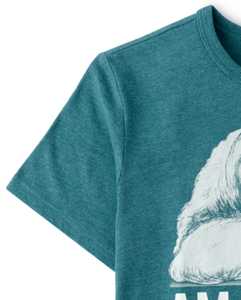 Boys Late Sloth Graphic Tee - S/D CLOUDY LAKE