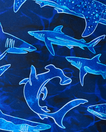 Boys Shark Rashguard Swimsuit
