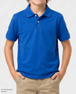 RENEW BLUE