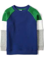 Boys Colorblock Sweatshirt - Dino Roar