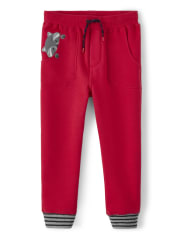 Boys Raccoon Pull On Jogger Pants - Head of the Class