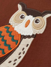 Boys Embroidered Owl Raglan Top - Autumn Harvest