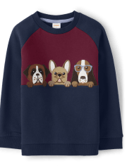Boys Embroidered Dogs Colorblock Raglan Top - Playful Pups