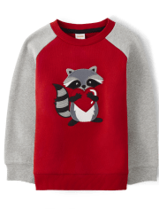 Boys Embroidered Raccoon Sweatshirt - Valentine Cutie