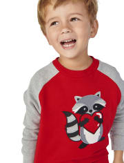 Boys Embroidered Raccoon Sweatshirt - Valentine Cutie