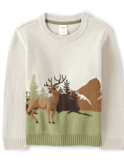 Boys Intarsia Deer Sweater - Enchanted Forest