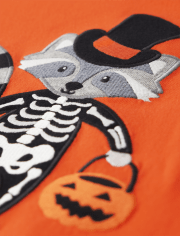 Boys Embroidered Raccoon Raglan Top - Trick or Treat