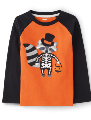 Boys Embroidered Raccoon Raglan Top - Trick or Treat