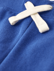 Boys Colorblock Fleece Pull On Jogger Pants - Very Merry