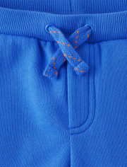 Boys Colorblock Fleece Jogger Pants - Dino Friends