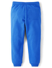 Boys Colorblock Fleece Jogger Pants - Dino Friends