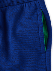 Boys Dino Fleece Jogger Pants - Dino Friends
