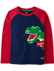 Boys Dino Raglan Top - Mini Valentine
