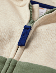 Sweat à capuche zippé colorblock pour garçon - Dino Friends