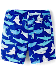 Boys Shark Swim Trunks - Swim