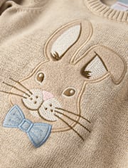 Boys Applique Bunny Sweater - Enchanted Garden