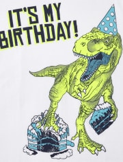 Boys Birthday Dino Graphic Tee