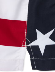 Baby And Toddler Boys Americana Stars Swim Trunks