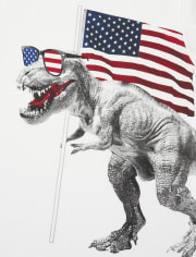 Boys Americana Dino Flag Graphic Tee