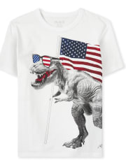Boys Americana Dino Flag Graphic Tee