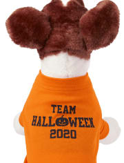 Camiseta gráfica Halloween 2020 de la familia a juego con perros
