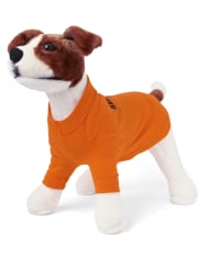 Camiseta gráfica Halloween 2020 de la familia a juego con perros