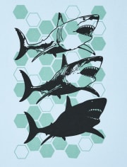 Boys Dino Shark Graphic Tee 2-Pack