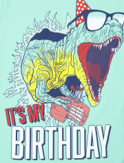 Boys Birthday Dino Graphic Tee