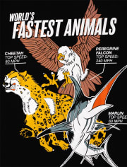 Boys Fastest Animals Graphic Tee