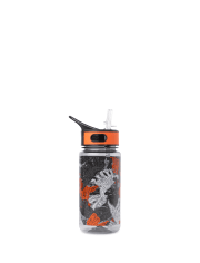 Boys Dino Water Bottle
