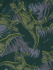Boys Dino Camo Snug Fit Cotton Pajamas 2-Pack