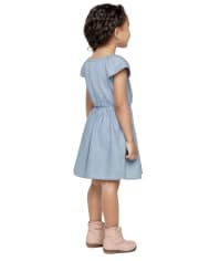 Baby And Toddler Girls Denim Ruffle Dress