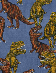 Boys Dino Snug Fit Cotton Pajamas 2-Pack