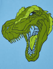 Boys Dino Graphic Tee