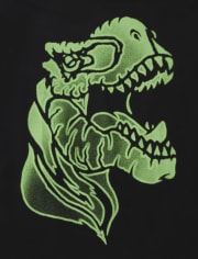 Boys Dino Graphic Tee
