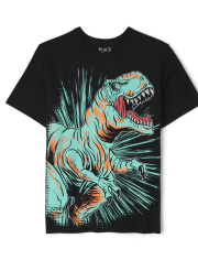 Boys Dino Graphic Tee