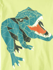 Boys Dinosaur Graphic Tee