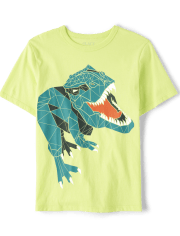 Boys Dinosaur Graphic Tee