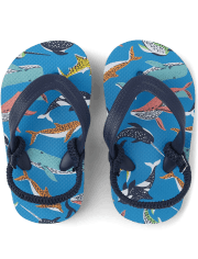 Toddler Boys Sea Life Flip Flops