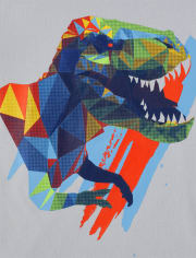 Boys Dino Graphic Tee