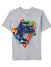 Boys Dino Graphic Tee