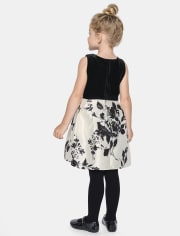 Baby And Toddler Girls Floral Velour Fit And Flare Dress