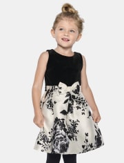 Baby And Toddler Girls Floral Velour Fit And Flare Dress