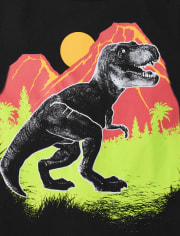 Baby And Toddler Boys T-Rex Graphic Tee