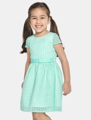 Baby And Toddler Girls Gingham Organza Fit And Flare Dress