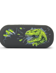 Boys Dino Sunglasses Case