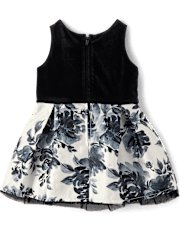 Toddler Girls Floral Velour Fit And Flare Dress