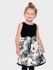 Toddler Girls Floral Velour Fit And Flare Dress