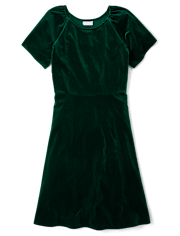 Womens Matching Family Velour Fit And Flare Dress