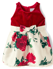 Baby And Toddler Girls Floral Velour Fit And Flare Dress